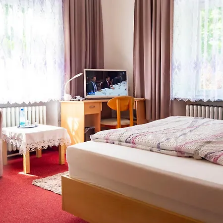 Wohlfuehlhotel Saxonia 3* 바트키싱엔