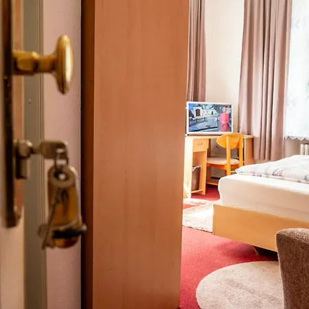 Wohlfuehlhotel Saxonia 호텔 3*