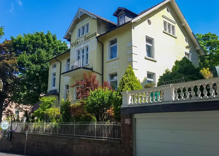 ホテル Wohlfuehlhotel Saxonia 3*