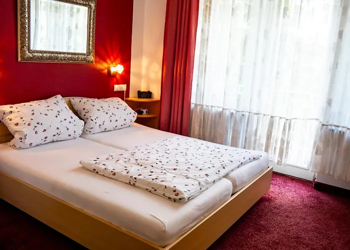 ホテル Wohlfuehlhotel Saxonia