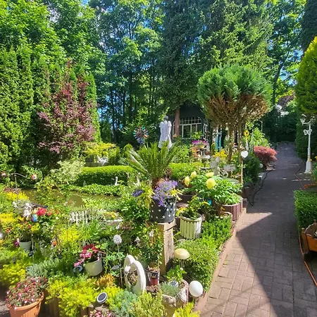 Wohlfuehlhotel Saxonia Hotel