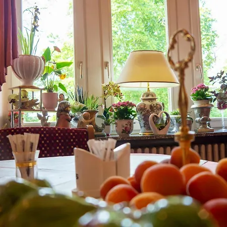 Hotel Wohlfuehlhotel Saxonia Bad Kissingen
