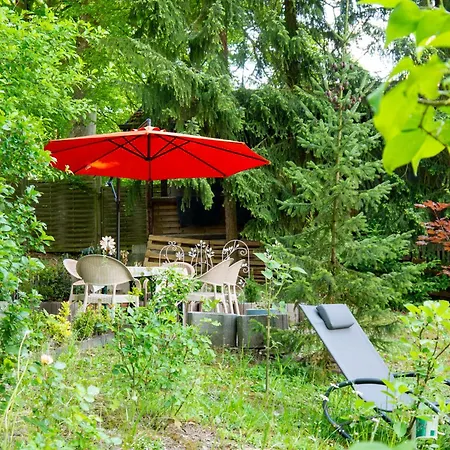 Hotel Wohlfuehlhotel Saxonia 3*