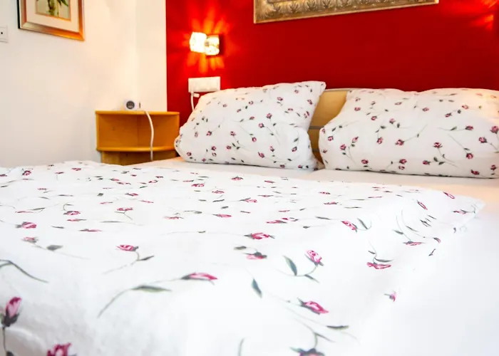 Wohlfuhlhotel Saxonia 3* سيئة كيسينجين