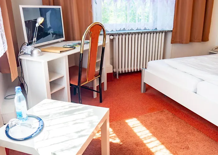 Wohlfuehlhotel Saxonia 3*