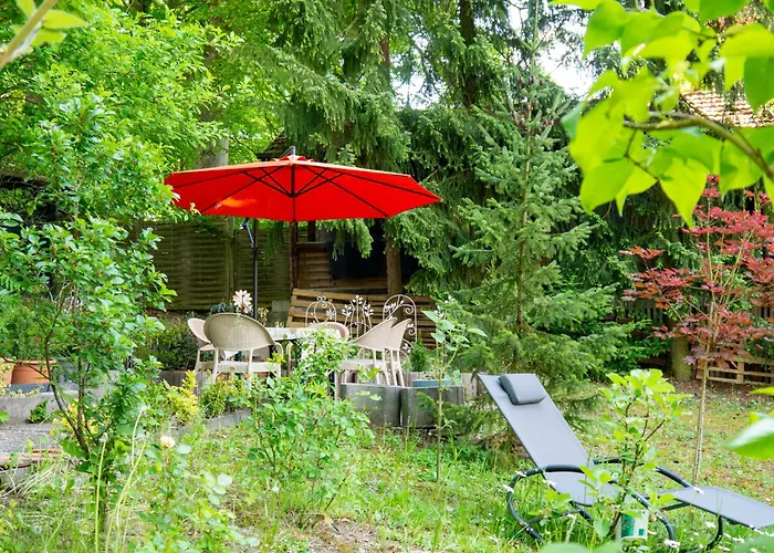 فندق Wohlfuhlhotel Saxonia 3*